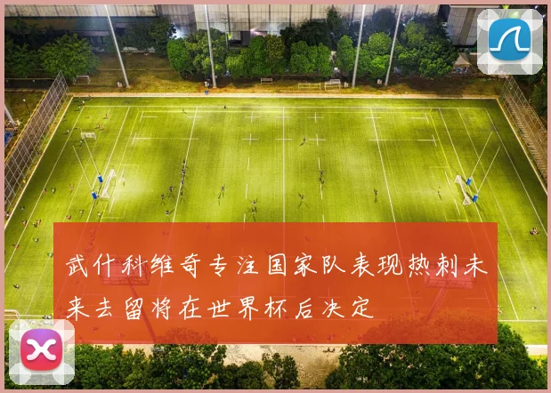 武什科维奇专注国家队表现热刺未来去留将在世界杯后决定